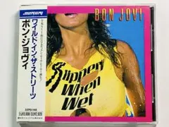 帯付☆ボン・ジョヴィ/ワイルド・イン・ザ・ストリーツ 32PD148 旧規格