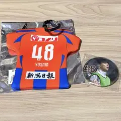 Item thumbnail for item 495146f1-07c1-4116-a31f-dd95906c01ea