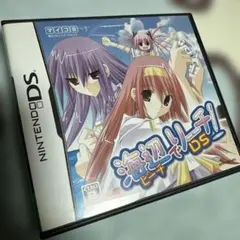 海辺でリーチ!DS