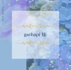 gachapi様 リクエスト 2点 まとめ商品