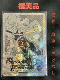 ARS鑑定10)スーパーダイバーズ トランクス:青年期 APT-015パラレル