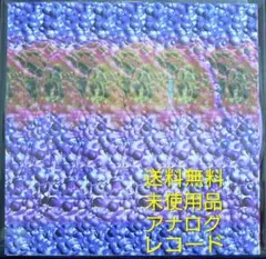 [未使用品 アナログレコード LP盤]　Tempalay　GHOST ALBUM
