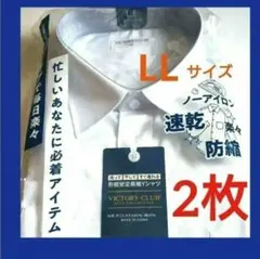 Item thumbnail for item 6b2f367d-3346-43fc-bbc9-df07d50634d4