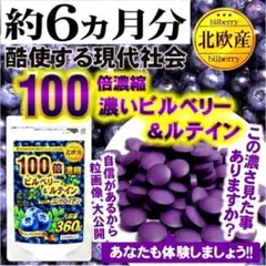 PC、スマホ等をよく利用する方に！【ビルベリー＆ルテイン】約６ヶ月分