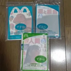 知育