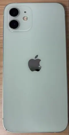iPhone12 256GB SIMフリー動作確認済 docomo正規店購入