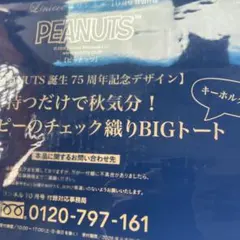 リンネル10月号付録 ピーナッツ スヌーピーのチェック織りBIGトート