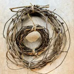 あけびのつる あけびのツル（蔓） あけび蔓 | ちいくろ工房 あけびのつる