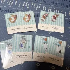 mofusand アクリルチャーム