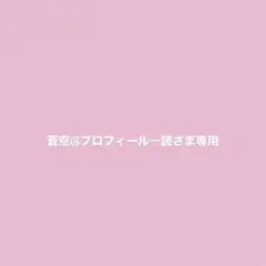 ゆーいんちーさま専用