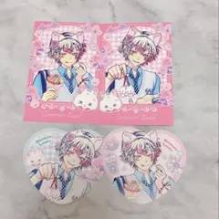 アモン チェキ風カード テーマパークデート ハート ステッカー あくねこ セット