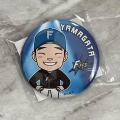 北海道日本ハムファイターズ　缶バッジ　山縣秀