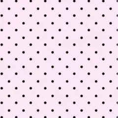 専用ページ