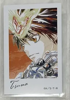 沢田綱吉 カラ鉄 REBORNコラボ 特典 ABOX ツナ リボーン - メルカリ