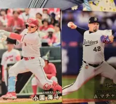 プロ野球チップス　マチャド　小園海斗　新品　セブンイレブン合計2枚