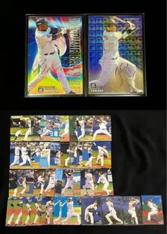 【東京ヤクルトスワローズ】プロ野球チップスカード ①
