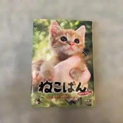 ねこばん