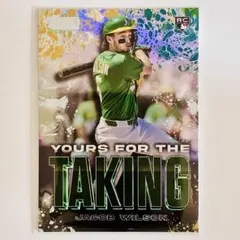 Item thumbnail for item 4c67fdaf-84ae-430e-9f77-782b9f531949