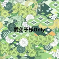 愛弟子様専用ページ