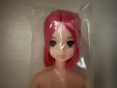 2026年最新】キャッスル ロベリアの人気アイテム - メルカリ