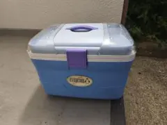 Item thumbnail for item 87f9eff2-7d34-4542-bc02-b15ca58d0d68