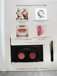 DECORTÉ ROUGE DECORTÉ CREAM GLOW 13　20G