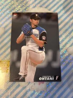 り*ん様 大谷翔平 2014 プロ野球チップスカード