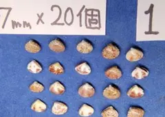 Item thumbnail for item 597e85f6-202a-4a93-aa25-33d3611a1b62