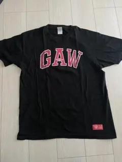 Item thumbnail for item 1003ed66-f8fc-4875-99b1-d7ab7a2a7768