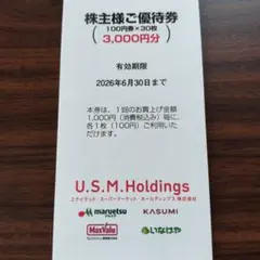 ユナイテッドスーパーマーケット　株主優待券3000円分のサムネイル
