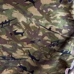 Item thumbnail for item 66cfd554-cde3-46eb-a206-191e47c0bb72