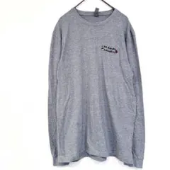 【グレー・Lサイズ】PAJA STUDIO Got Wealth?ロングTシャツ PAJA STUDIO Got Wealth? ロングTシャツ 2XL - メルカリ