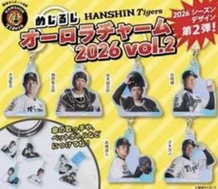 【新品未使用】阪神　めじるしチャーム　才木浩人
