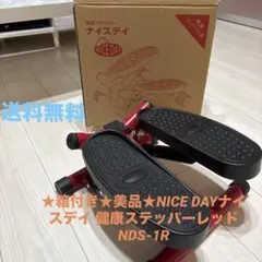 ★箱付き★美品★NICE DAYナイスデイ 健康ステッパーレッドNDS-1R