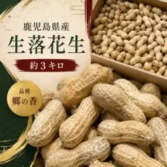 鹿児島県産　生落花生　箱込5キロ 品種　郷の香　b 鹿児島県産 生落花生 箱込5キロ 品種 郷の香 b - メルカリ