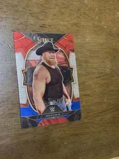 Brock Lesnar Selectカード SmackDown