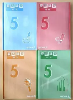 四谷大塚「予習シリーズ」夏期講習テキスト 5年生セット(算数 国語 理科 社会)