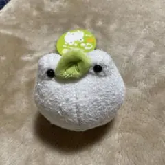 2025年最新】次の日ケロリぬいぐるみの人気アイテム - メルカリ