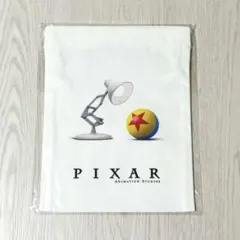 【レア】ピクサー展 PIXAR 巾着袋 ルクソーJr. ボールのサムネイル
