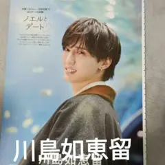 川島如恵留 TVガイド切り抜き