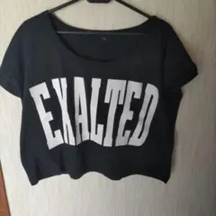 ☆レディース☆ロゴTシャツ☆ショート丈のサムネイル