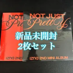 izna Not Just Pretty photobook 2枚 CD 本体