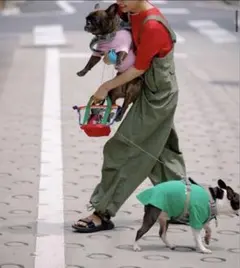 BEAMSBOYビームスボーイUS ARMY オーバーパンツ