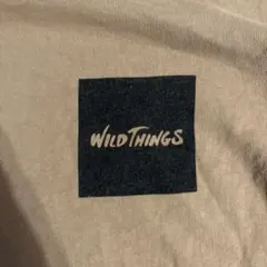 WILDTHINGS ワイルドシングス　ロンT 長袖　ノースフェイス　パタゴニアのサムネイル