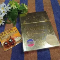 L'Arc～en～Ciel/LIVE IN PARIS〈2枚組〉グッズ付き