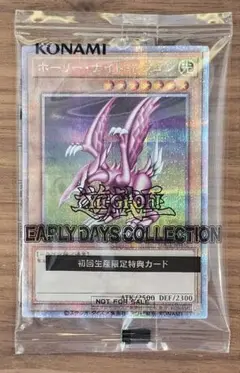 遊戯王　ホーリーナイトドラゴン　25th　シークレット