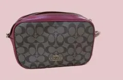 ✳︎美品✳︎COACH ショルダー カメラバッグ ダブルファスナー