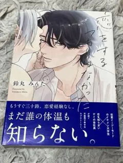 恋をするつもりはなかった 鈴丸みんた BL漫画