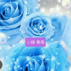 メル30077様専用/障子に映る青紅葉とシマエナガ 蓄光 オルゴナイト