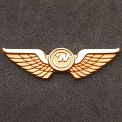 デルタ航空　機長用　コレクター　ピンバッジ　ゴールド　本物　貴重 2025年最新】デルタ航空 バッジの人気アイテム - メルカリ